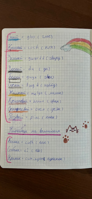 Handwritten notes in the EveryWord Photo Scan camera